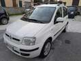 Fiat Panda 1.4 Natural Power Dynamic UniProp. Bombole 2027 Bianco - thumbnail 1