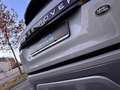 Land Rover Range Rover Evoque Evoque II 2.0 i4 mhev Autobiography awd 200cv auto Grau - thumbnail 20