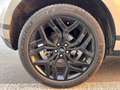 Land Rover Range Rover Evoque Evoque II 2.0 i4 mhev Autobiography awd 200cv auto Grau - thumbnail 9
