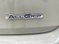 Suzuki Vitara 1.6 DDIS V-COOL 4WD - NEOPATENTATO - 2 ANNI GARAN. Beige - thumbnail 8