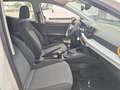 SEAT Ibiza 1.0 MPI Evo S&S Reference XM Edition 80 Blanco - thumbnail 6