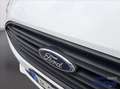 Ford Transit Connect 210 1.5 Ecoblue 100CV PL Furgone Trend Bianco - thumbnail 16