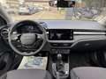 Skoda Fabia 1.0 TSI EVO 95 CV Young Edition Blu/Azzurro - thumbnail 13