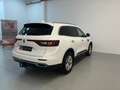 Renault Koleos Initiale Pa. dCi 130kW (175cv) X-Tr. 4WD Blanco - thumbnail 7