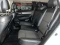 Renault Koleos Initiale Pa. dCi 130kW (175cv) X-Tr. 4WD Blanco - thumbnail 12