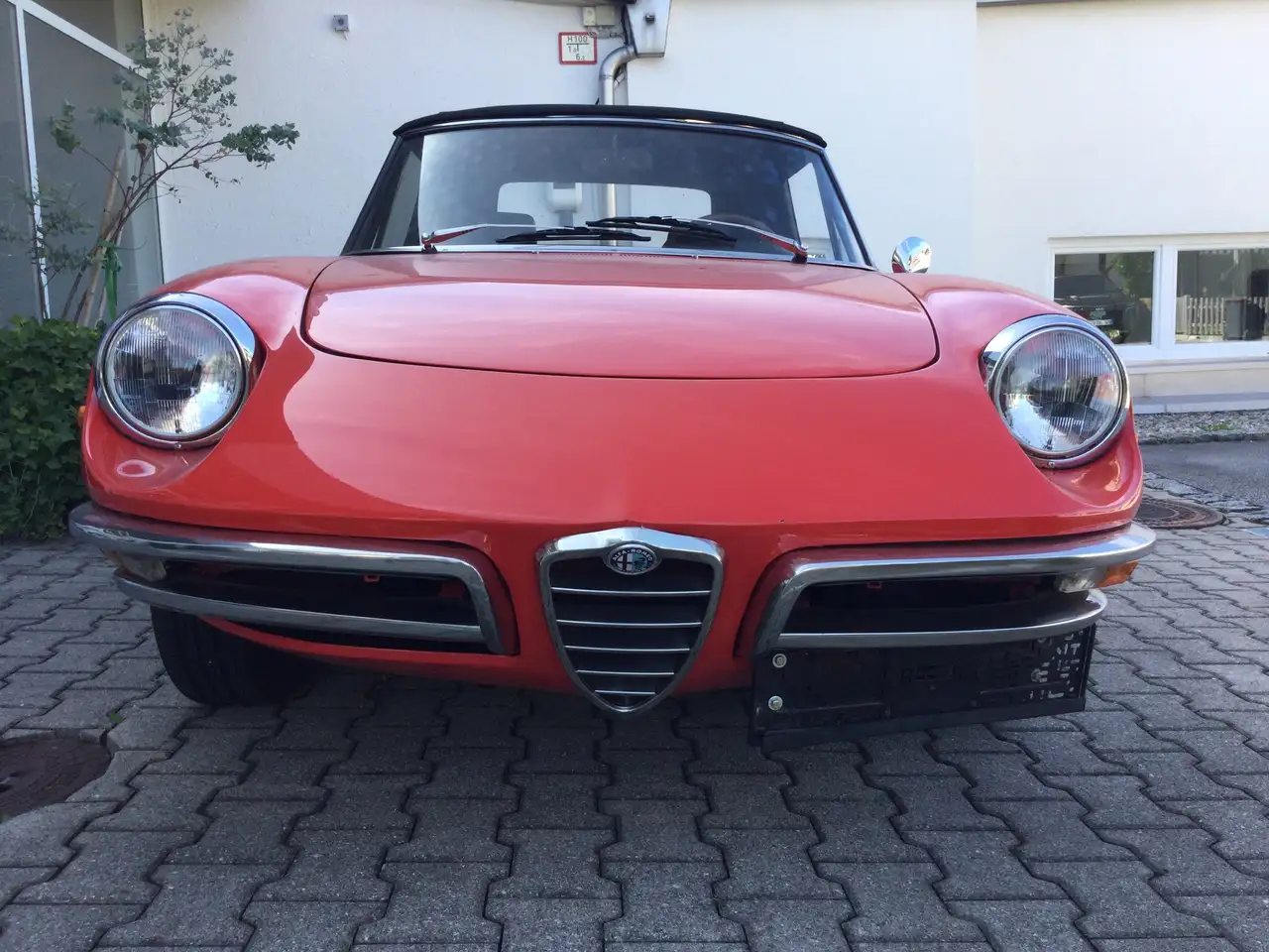 Alfa Romeo Spider 1750 Spider, foto 3