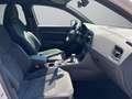 CUPRA Ateca 2.0 TSI 4Drive DSG VZ Weiß - thumbnail 13