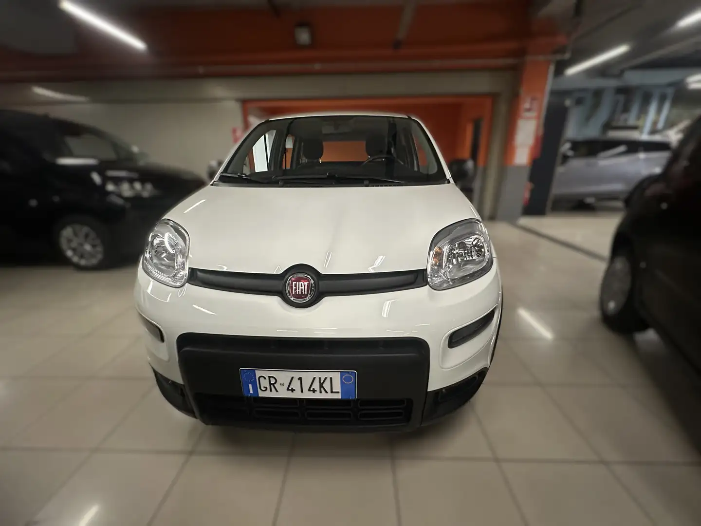 Fiat Panda Panda 1.0 firefly hybrid s Bianco - 1