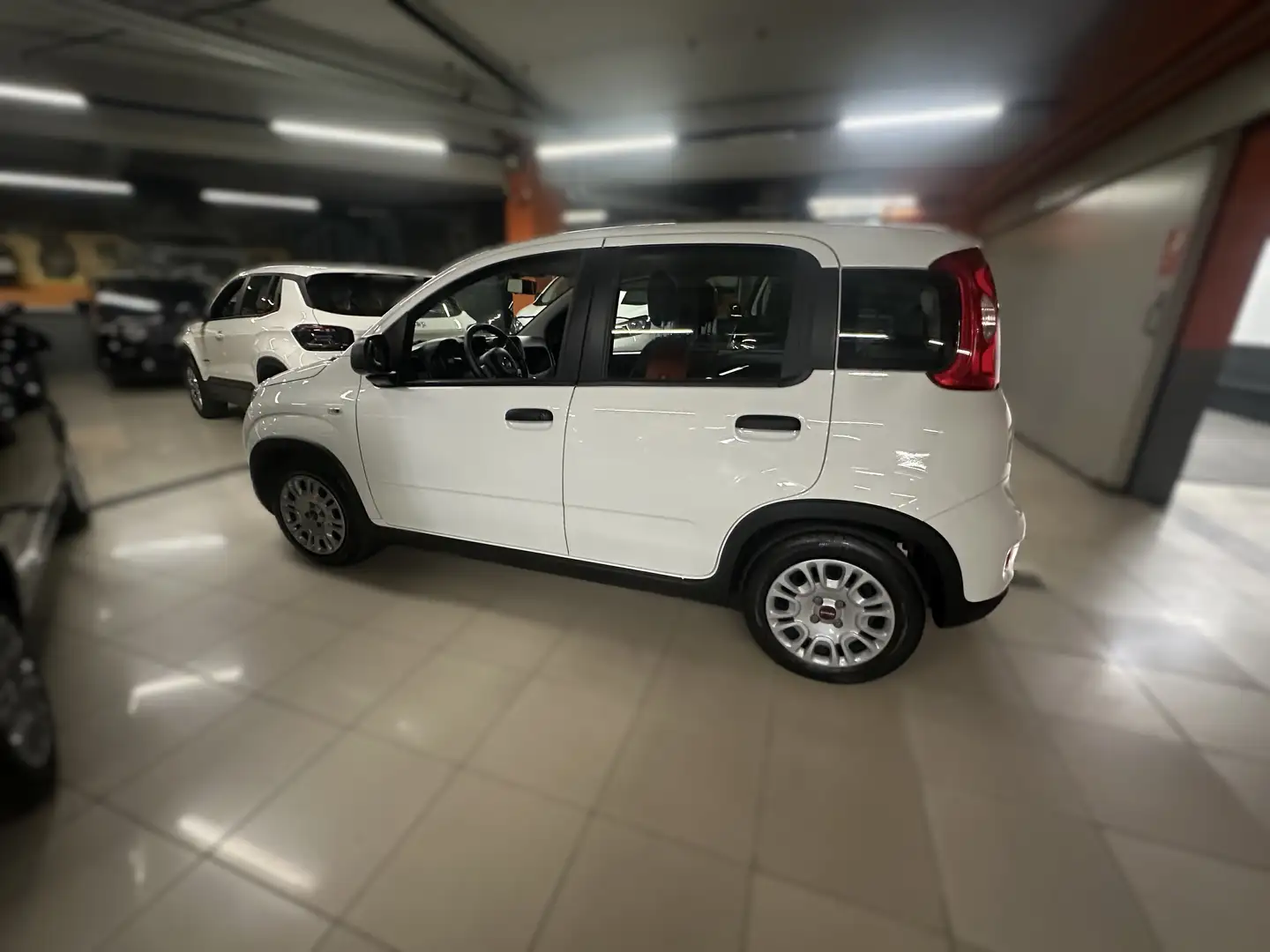 Fiat Panda Panda 1.0 firefly hybrid s Bianco - 2