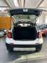 Fiat Sedici 2.0 Multijet 16V Easy 4x4 Weiß - thumbnail 14