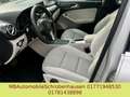 Mercedes-Benz B 200 LED XENON AUTOMATIK AHK Argent - thumbnail 16
