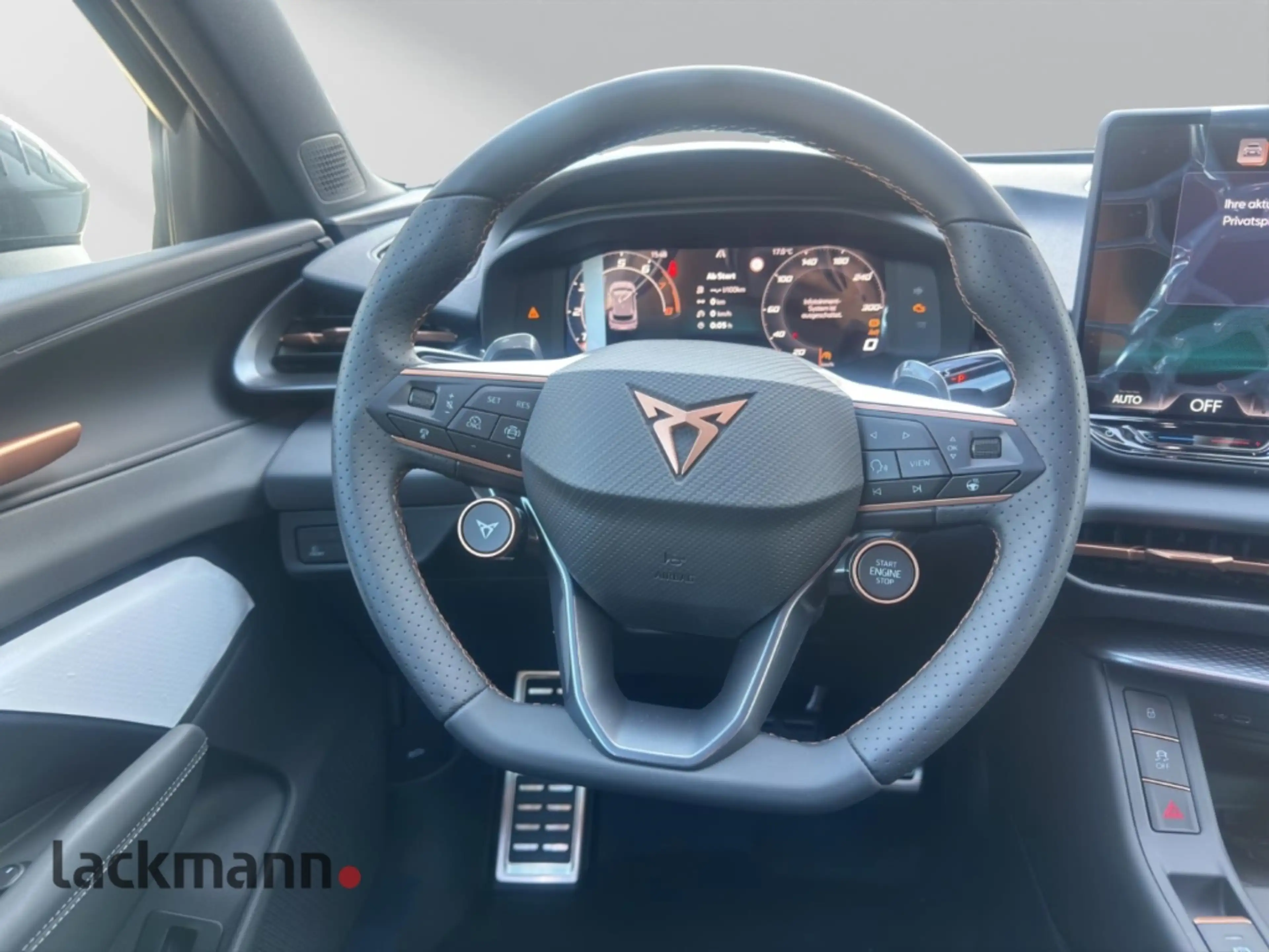CUPRA Terramar 1.5 eTSI *AHK*Navi*Alcantara*Matrix-LED* — photo 14