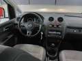 Volkswagen Caddy 2.0 TDI 110 CV 4MOTION 5P. HIGHLINE Bianco - thumbnail 43