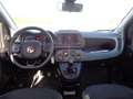 Fiat Panda Panda Cross 1.0 FireFly S&S Hybrid Grigio - thumbnail 13