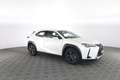 Lexus UX 250h UX Hybrid Urban Bianco - thumbnail 2