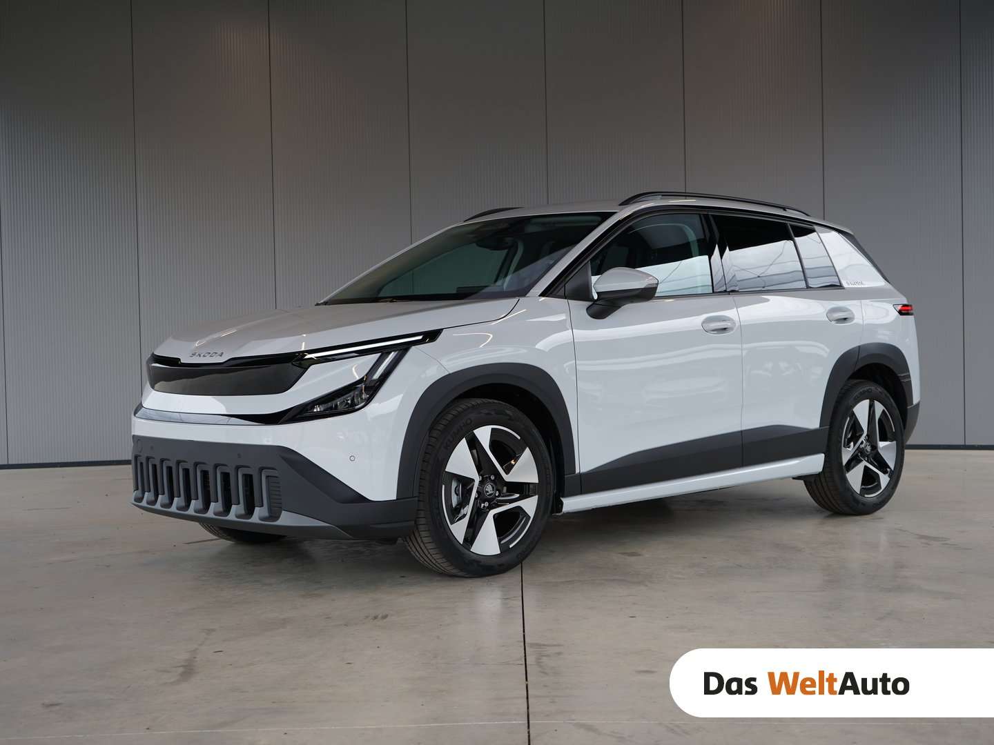 Skoda Epiq