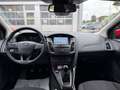 Ford Focus Titanium Rot - thumbnail 15