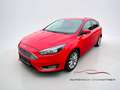Ford Focus Titanium Rot - thumbnail 1
