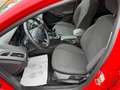 Ford Focus Titanium Rot - thumbnail 24