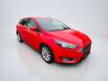 Ford Focus Titanium Rot - thumbnail 12