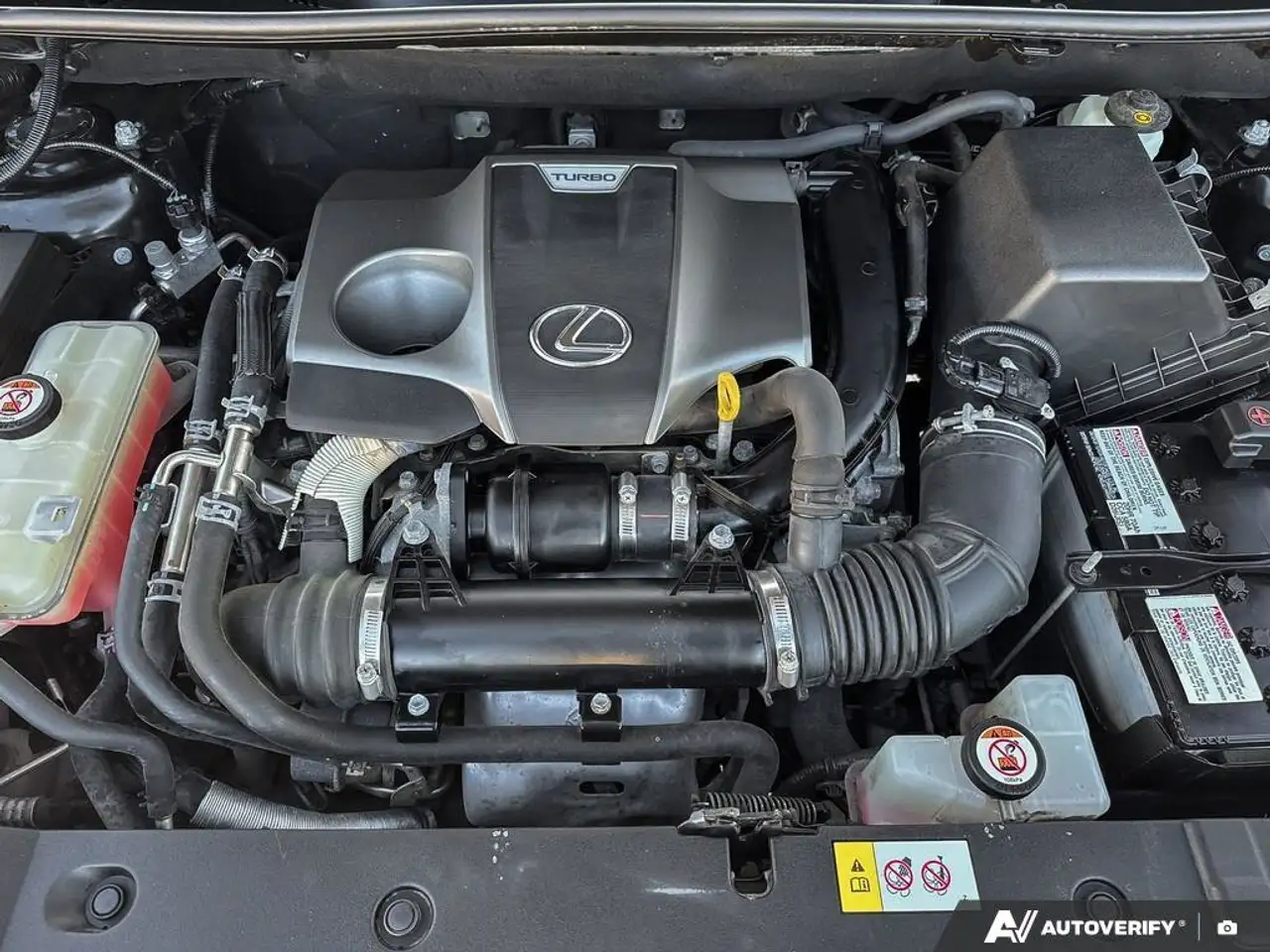 Lexus NX снимка Lexus NX