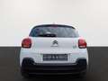 Citroen C3 Pure Tech 83 Shine Pack Weiß - thumbnail 6