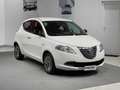 Lancia Ypsilon 1.2 69 CV 5 porte GPL Ecochic Gold (5 posti) White - thumbnail 7