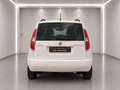 Skoda Roomster Ambition+ 1,2 TSI DSG*2 JAHRE GARANTIE,1 BESITZ* Weiß - thumbnail 6