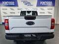 Ford Ranger SUPERCAB XL 2.0CC 170CV 4X4 4P M6 CAMBIO MANUALE Weiß - thumbnail 6