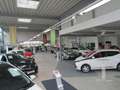 Toyota Yaris Cross Hybrid 1.5 VVT-i Team D + AHK + Navi + Allwetter+ Bronze - thumbnail 14