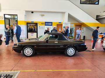 Spider 2.0 I targa oro