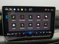 Volkswagen Golf VIII 1.5TSI LED Navi STHZ App-Connect HUD Weiß - thumbnail 15