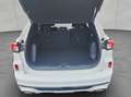 Ford Kuga 2.5 Duratec PHEV ST-LINE Blanc - thumbnail 2