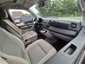Volkswagen T6 California T6 4Motion California Aufstelldach - Küche 1Hand - thumbnail 5