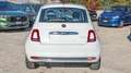 Fiat 500 HYBRID DOLCEVITA 1.0cc 70cv TETTO PANORAMICO Bianco - thumbnail 15