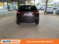 Nissan Qashqai 1.6 Tekna*NAVI*360°*PDC*SHZ*TEMPO*KLIMA*GARANTIE* Braun - thumbnail 5