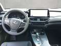 Lexus 300h F-Sport Design Gris - thumbnail 9