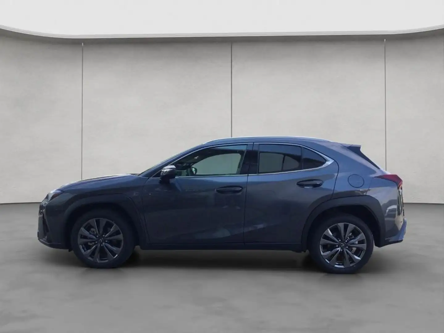 Lexus 300h F-Sport Design Gris - 2
