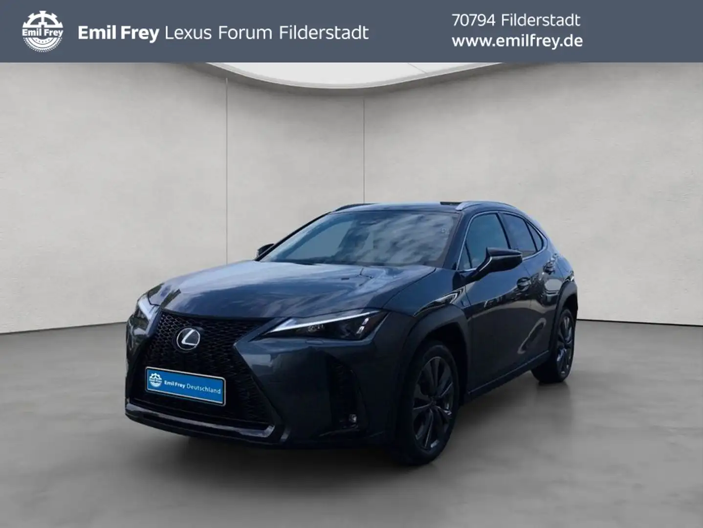 Lexus 300h F-Sport Design Gris - 1
