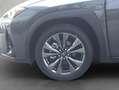 Lexus 300h F-Sport Design Gris - thumbnail 11