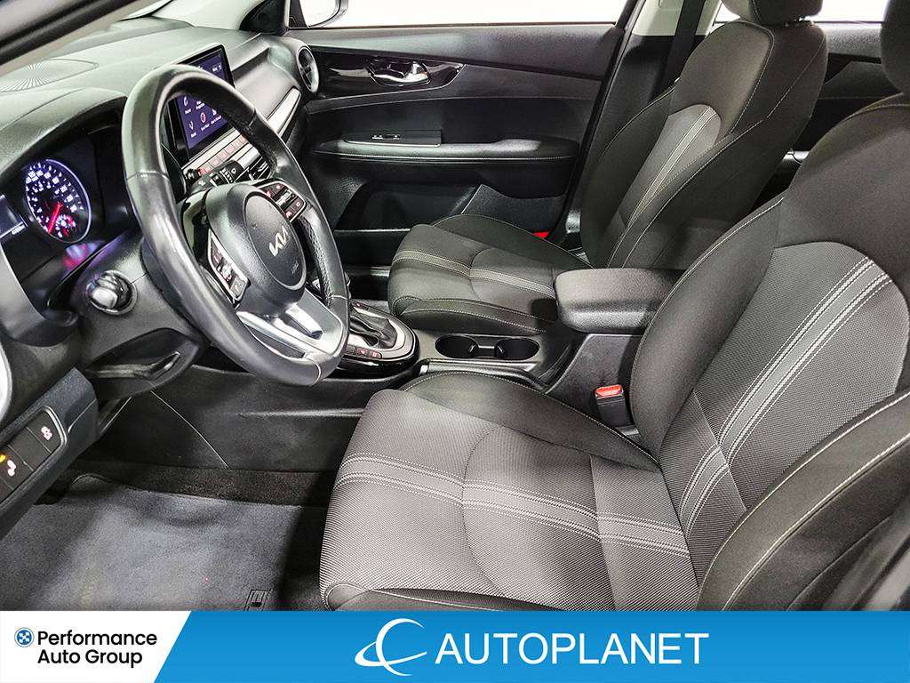 Image 15
