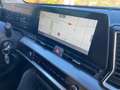Kia Sportage Sportage 1.6 T-GDi Drive 150 Drive Verde - thumbnail 15