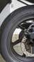 Honda CB 750 CB Sevenfifty Verde - thumbnail 6