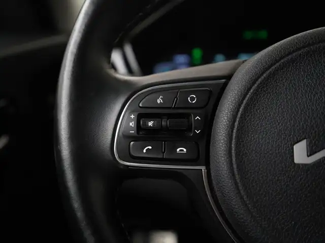 Kia Niro view 9