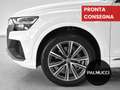 Audi Q8 Q8 SUV 50 TDI 286 CV quattro tiptronic S line edi - thumbnail 6