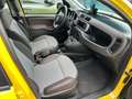 Fiat Panda 1.2 Cross  Fire 4 cdilindri Jaune - thumbnail 9