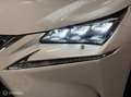 Lexus NX 300h AWD President Line Full opties! Blanc - thumbnail 18
