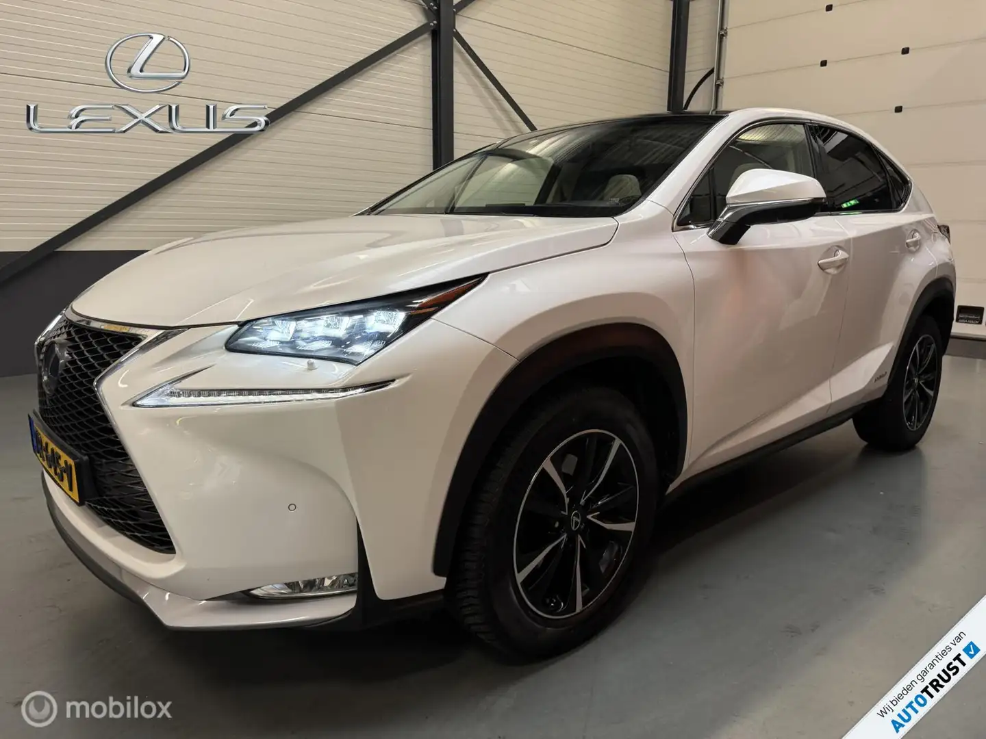 Lexus NX 300h AWD President Line Full opties! Blanc - 1