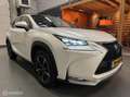 Lexus NX 300h AWD President Line Full opties! Blanc - thumbnail 23