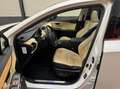 Lexus NX 300h AWD President Line Full opties! Blanc - thumbnail 16